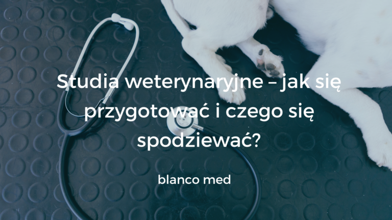Studentka weterynarii w fartuchu bada psa w klinice akademickiej.