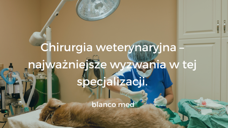 Weterynarz w stroju chirurgicznym wykonujący operację na zwierzęciu w sterylnym gabinecie.