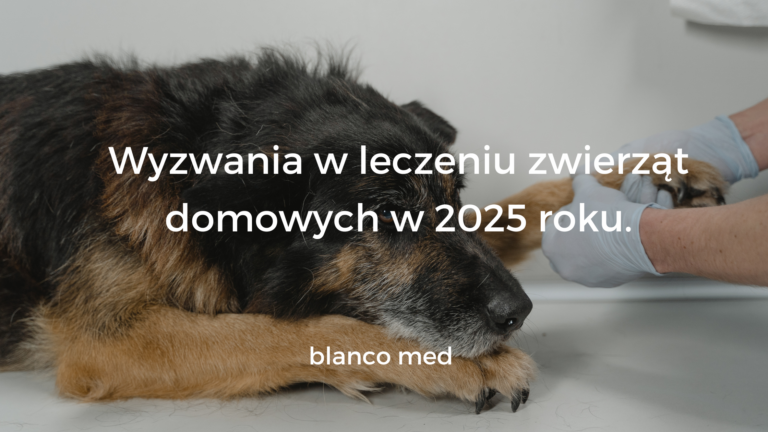 Weterynarz badający psa w nowoczesnej klinice weterynaryjnej.