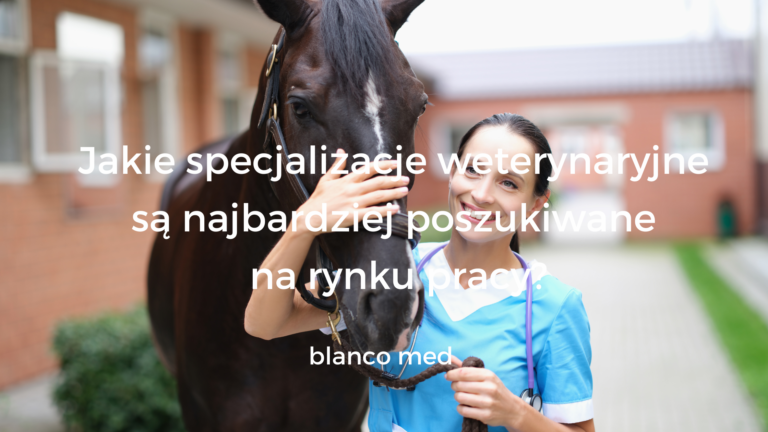 Weterynarz w rękawiczkach badający konia w nowoczesnej stajni.