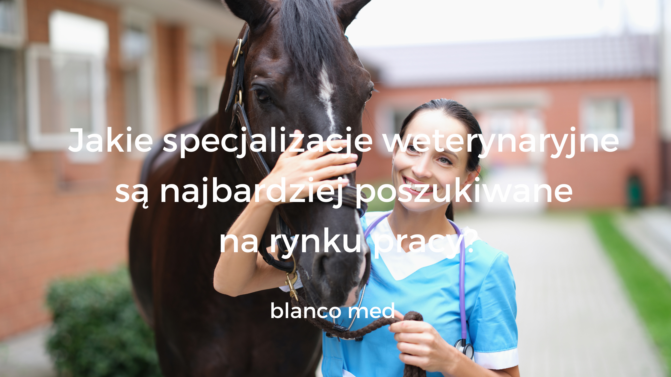Weterynarz w rękawiczkach badający konia w nowoczesnej stajni.
