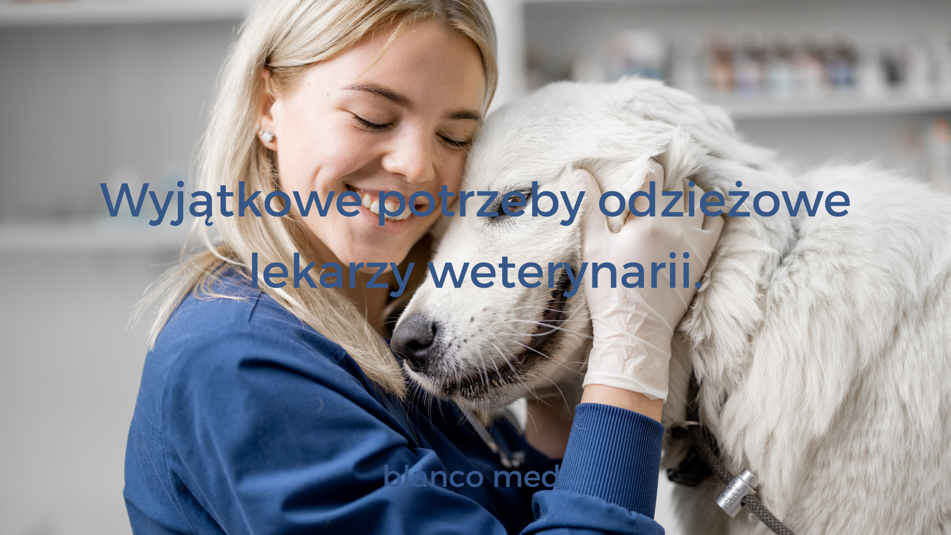 Lekarz weterynarii, kobieta tuli owczarka podhalańskiego.Lekarz weterynarii w praktycznym uniformie medycznym badający psa w gabinecie.